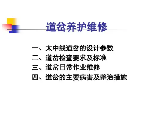 道岔养护维修及病害整治