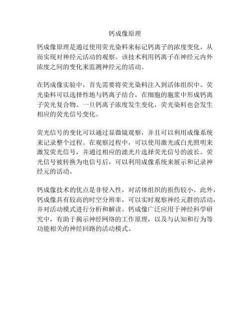 钙成像原理