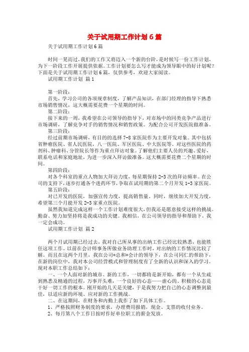 关于试用期工作计划6篇