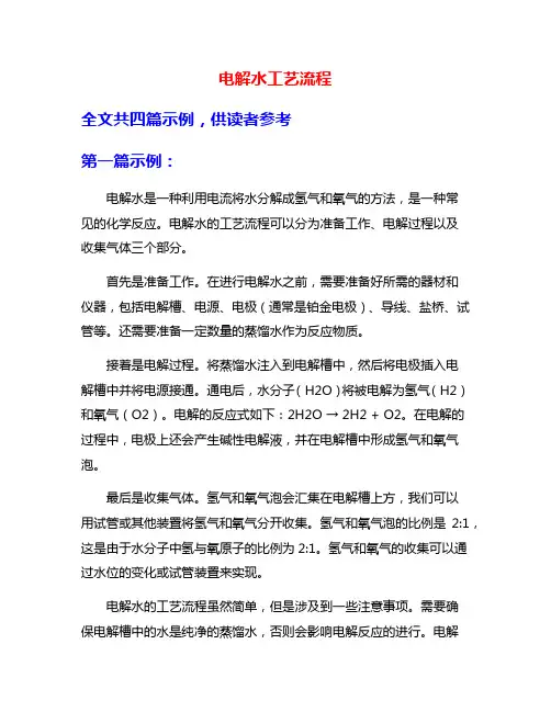 电解水工艺流程