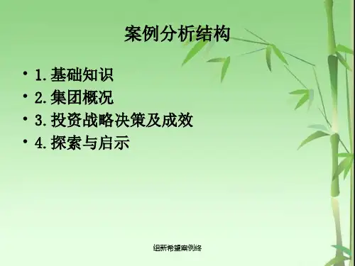 组新希望案例终课件