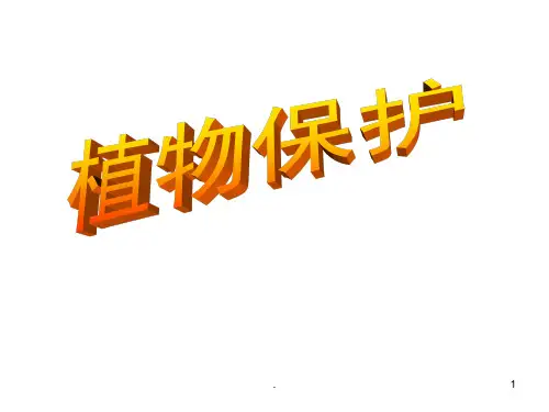 昆虫基础知识ppt课件