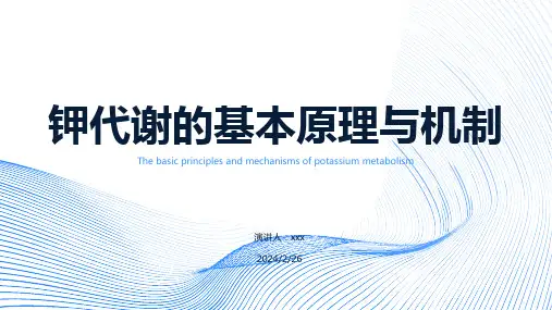 钾代谢的基本原理与机制