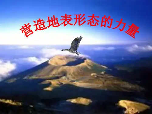 高考地理一轮复习 营造地表形态的力量山地的形成(共99张PPT)