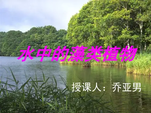 10.2水中的藻类植物