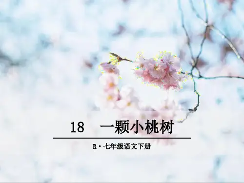 18 一棵小桃树  优秀课件ppt
