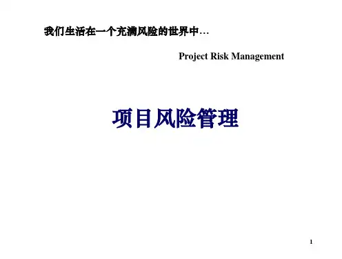 项目风险管理