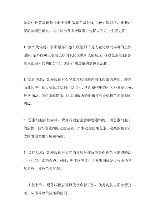 光老化致黄褐斑机制