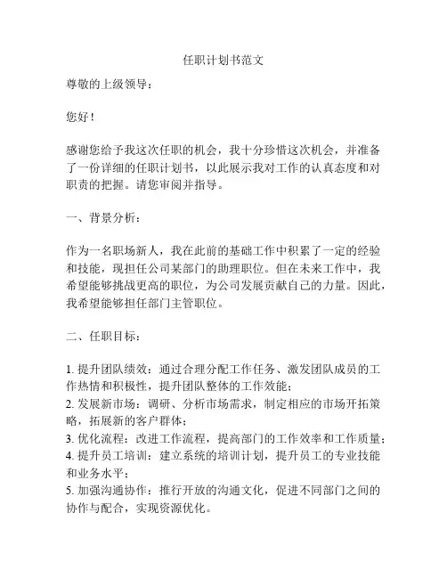 任职计划书范文
