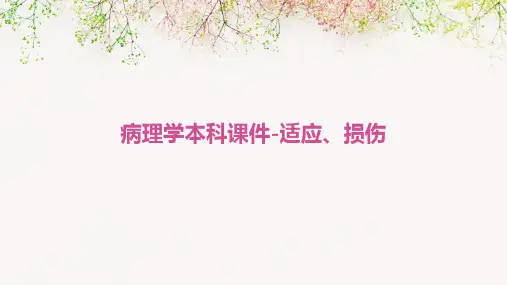 病理学本科课件-适应、损伤