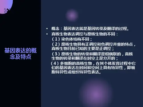 基因表达的概念及特点