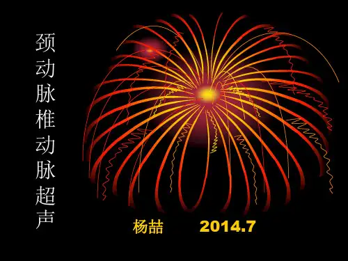 颈动脉、椎动脉超