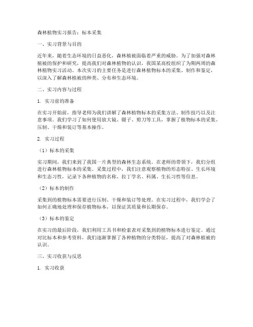 森林植物实习报告标本采集