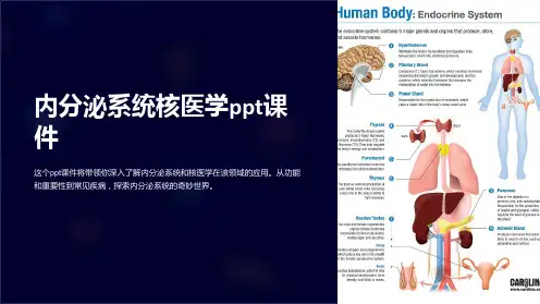 内分泌系统核医学ppt课件