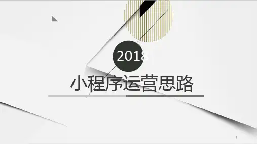 小程序运营ppt课件