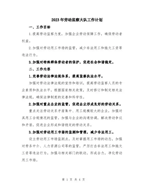 2023年劳动监察大队工作计划