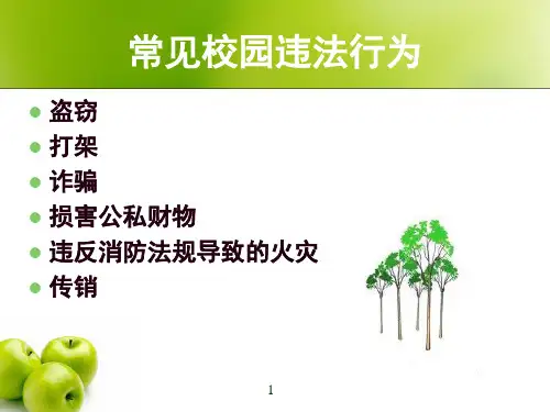 常见校园违法行为