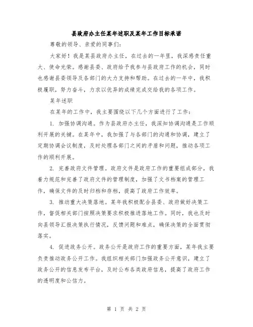 县政府办主任某年述职及某年工作目标承诺