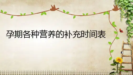 孕期各种营养补充时间表