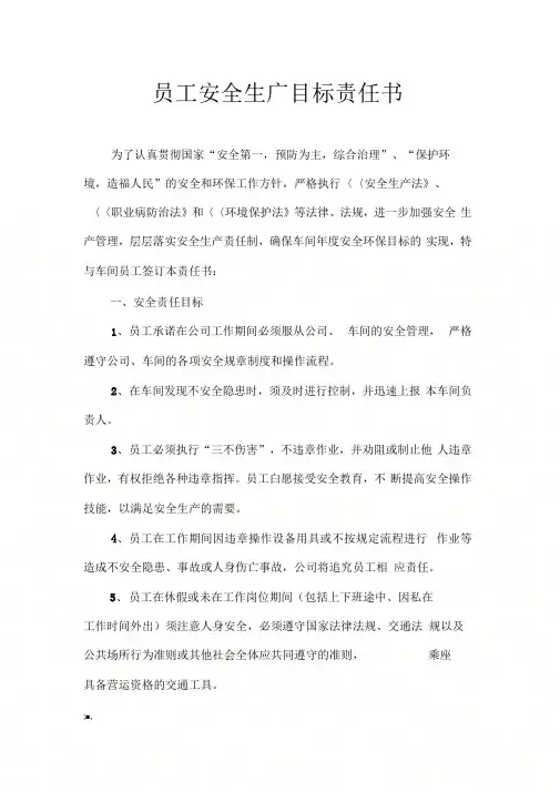 个人安全环保目标责任书