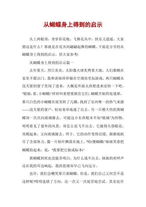 从蝴蝶身上得到的启示