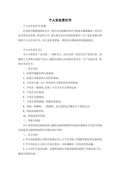 个人安全责任书