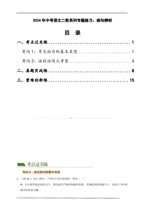 2024年中考语文二轮系列专题练习：病句辨析(解析版)