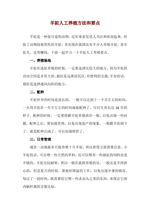 羊驼人工养殖方法和要点