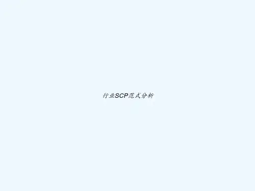 行业SCP范式分析 PPT
