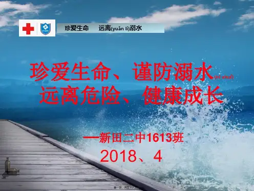 2018防溺水安全教育学习课件(共58张PPT)