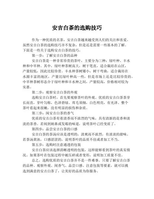 安吉白茶的选购技巧