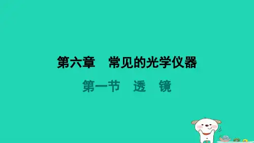 2024八年级物理下册第六章常见的光学仪器6.1透镜习题课件新版北师大版