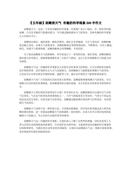 【五年级】泥鳅报天气 有趣的科学现象500字作文