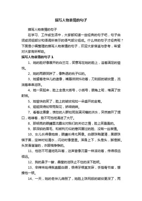 描写人物表情的句子