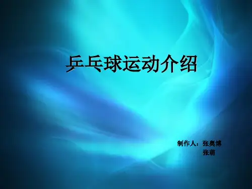 乒乓球运动介绍
