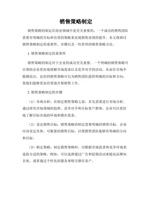 销售策略制定
