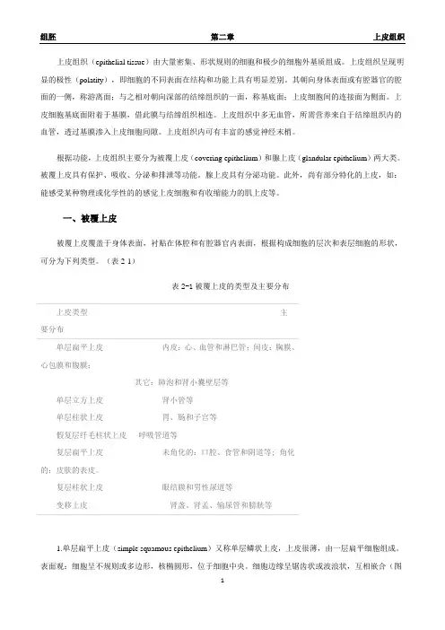 组织学与胚胎学-上皮组织(知识点)