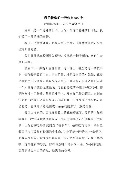 我的特殊的一天作文600字