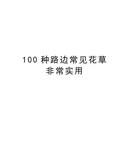 最新100种路边常见花草非常实用