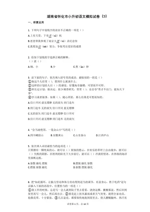 湖南省怀化市小升初语文模拟试卷(3)有答案