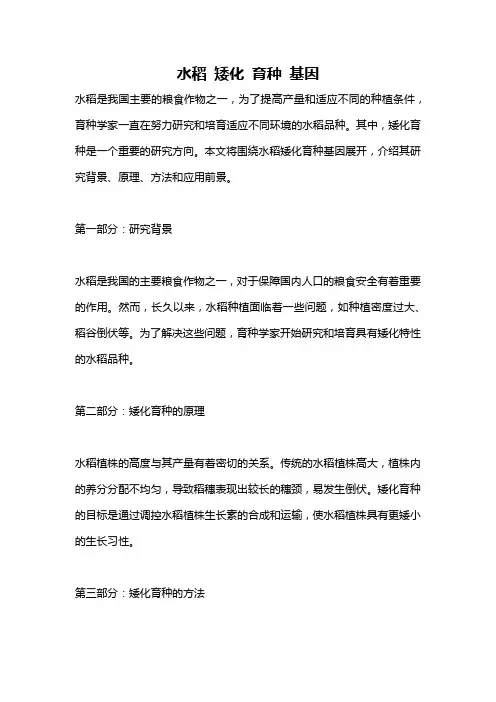 水稻 矮化 育种 基因
