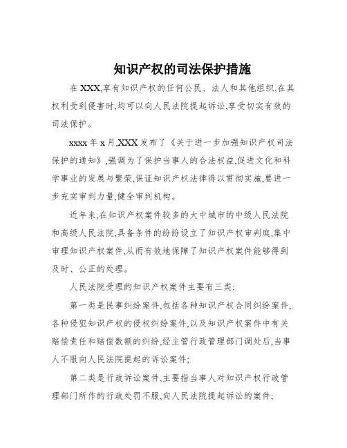 知识产权的司法保护措施