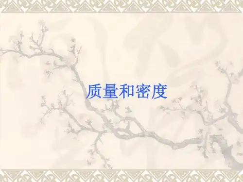 新课标八年级物理上第六章一、二节质量与密度复习