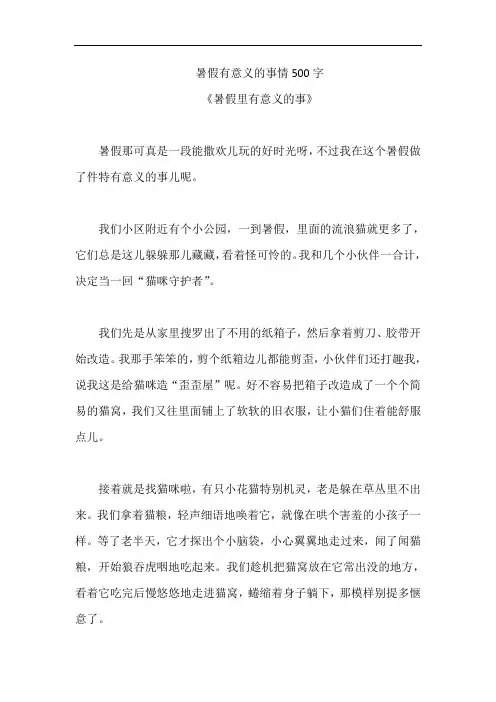 暑假有意义的事情500字
