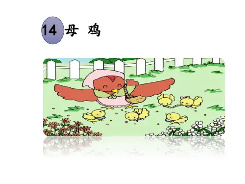 部编版四年级下语文14《母鸡》精华课件