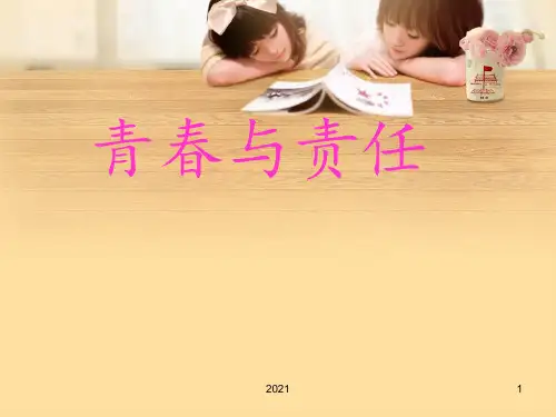 青春与责任PPT课件