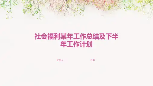 社会福利某年工作总结及下半年工作计划