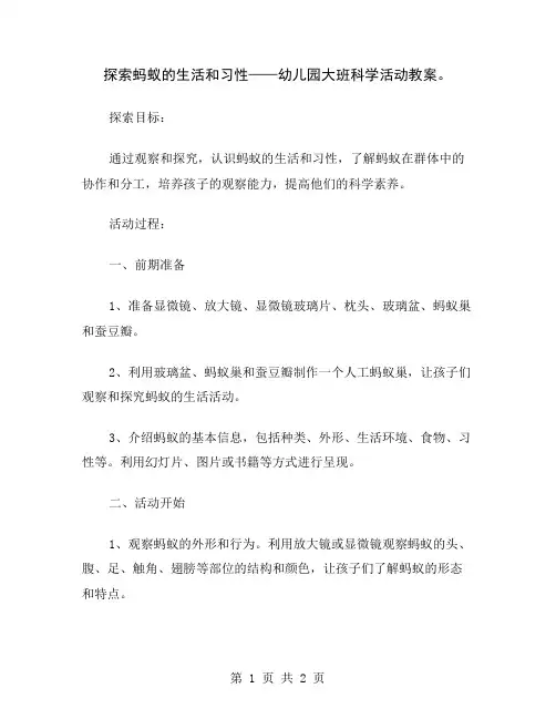 探索蚂蚁的生活和习性——幼儿园大班科学活动教案