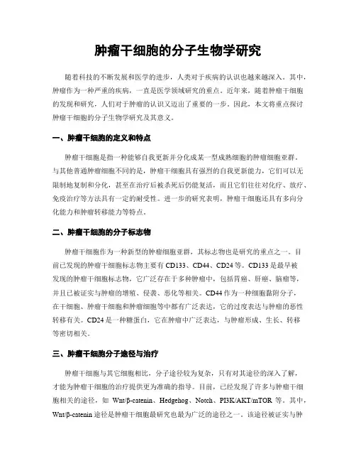 肿瘤干细胞的分子生物学研究