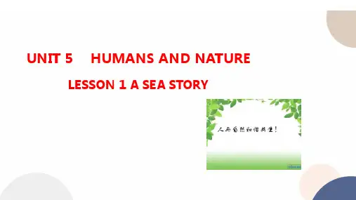 7配套新教材 高中英语-必修第二册-北师大版-UNIT 5 LESSON 1